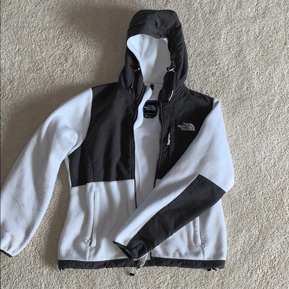 The north face fleece jacket